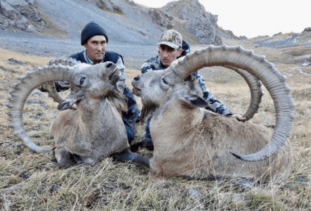 wta_2369_Screenshot 2023-10-07 at 10.36.50 PM